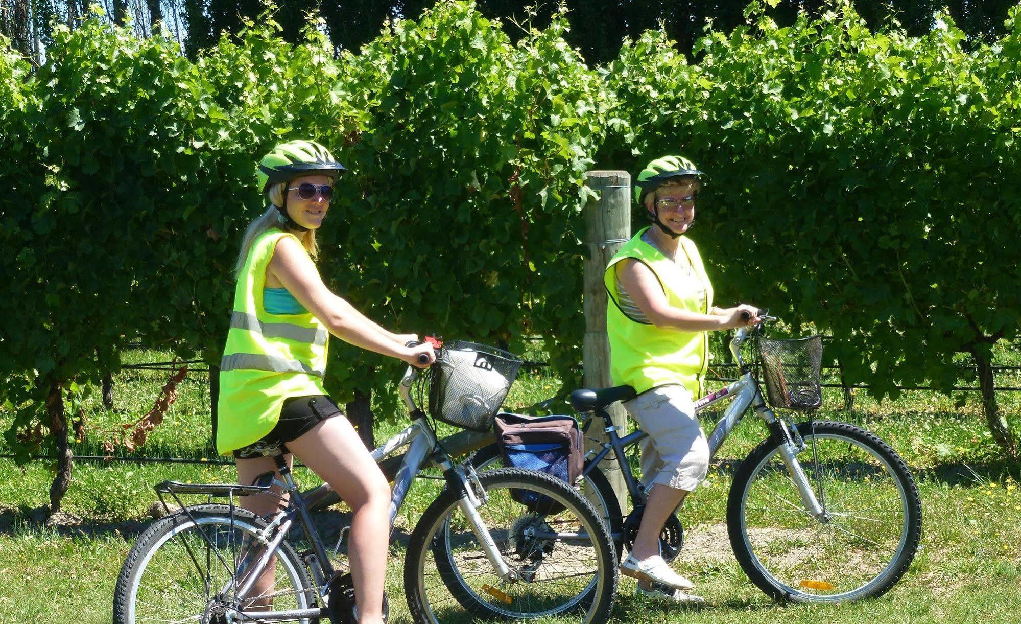 Olde Mill House B&B & Bike2Wine Cycle Hire 렌윅 외부 사진